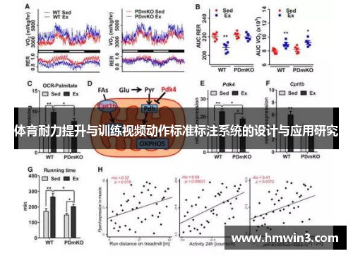体育耐力提升与训练视频动作标准标注系统的设计与应用研究